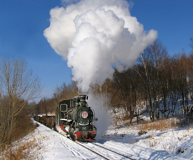 Narrow gauge in the woods