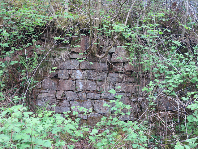 Morgraig Castle remains