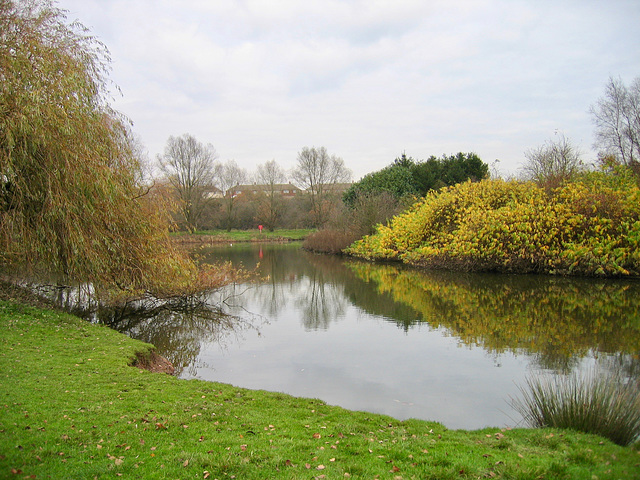 River Tame at Kingsbury