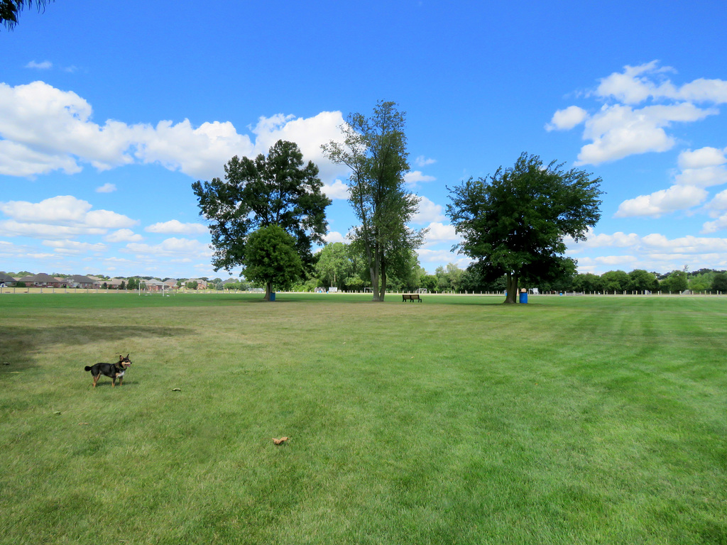 Saturday afternoon and we're the only visitors in the park.