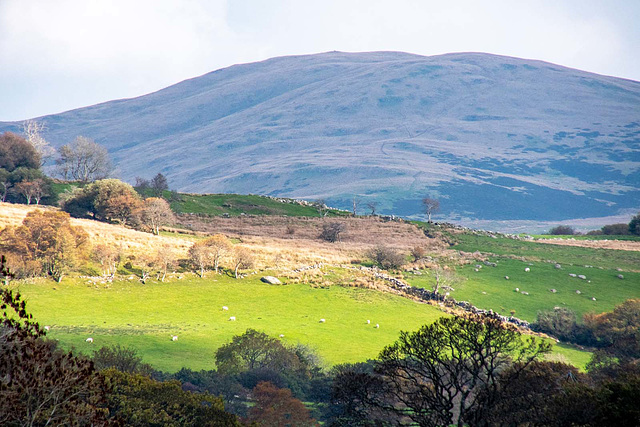 Welsh landscape.53jpg