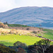 Welsh landscape.53jpg