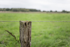 Fence post