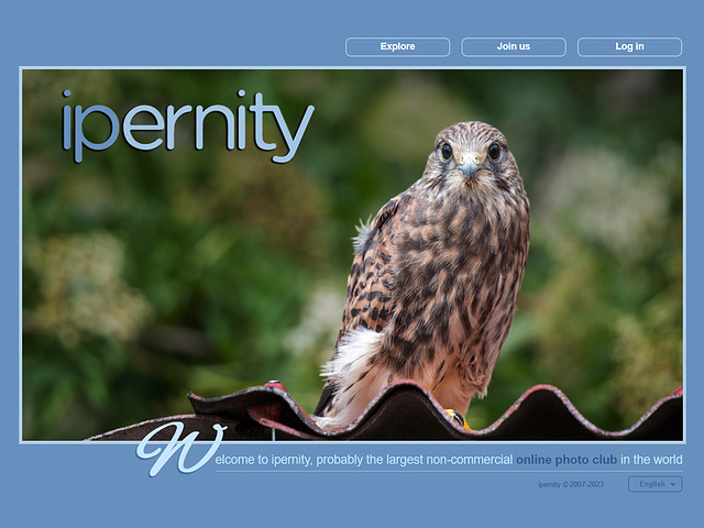 ipernity homepage with #1451