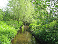 Langley Brook from the footbridge