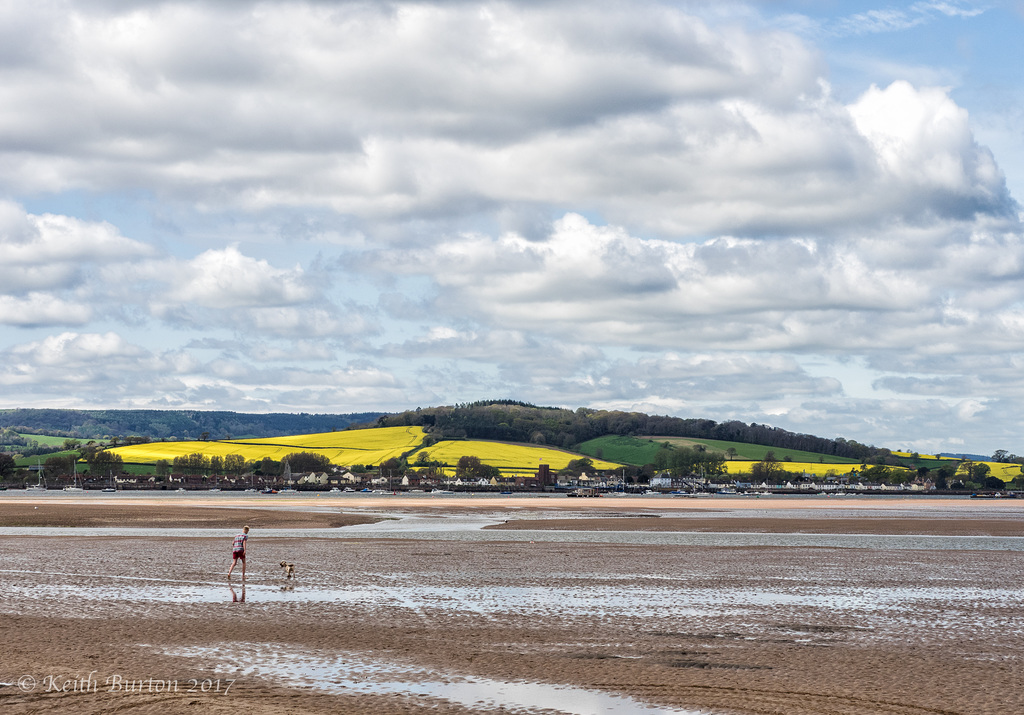View across the River Exe estuary