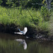 Jacksonville - River Oaks Park heron (#0115)