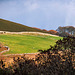 Welsh landscape.56jpg