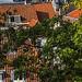 Leiden Roofs