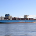 MAERSK EL PALOMAR