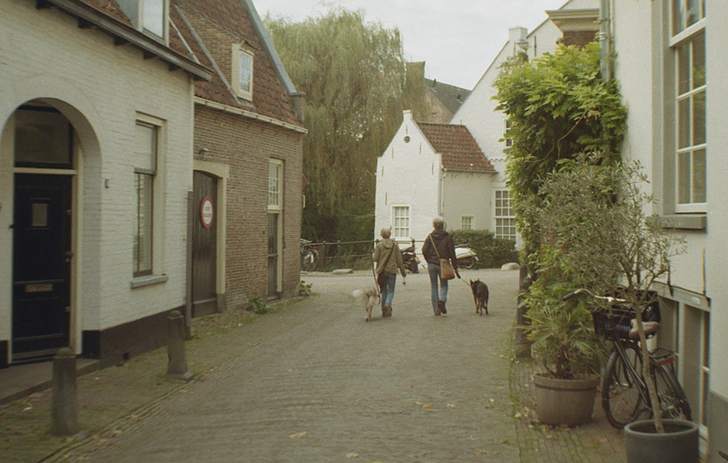 Samen de hond uitlaten