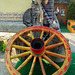Cat and wheel
