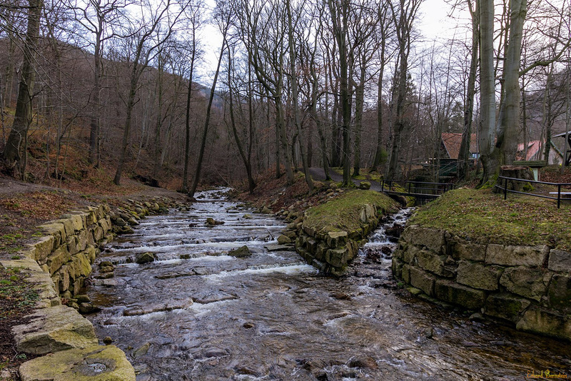 An der Ilse vor Ilsenburg