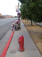 Flowers & hydrant