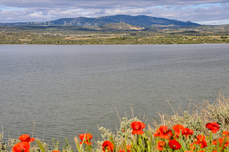 Etang de Leucate au printemps 04-2012