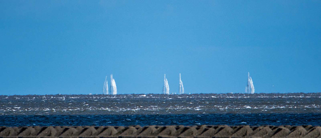 Clipper race1