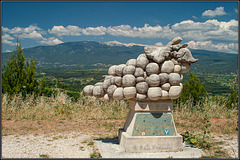 Wein vorm Mont Ventoux