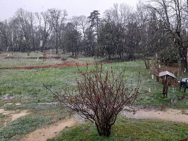 Le parc du Bosquet devant chez moi*************