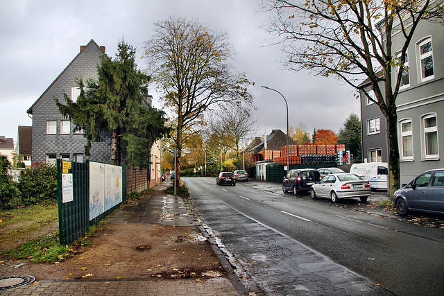 Riemker Straße (Bochum-Hofstede) / 11.11.2023