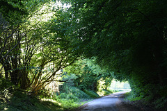 Tunnel