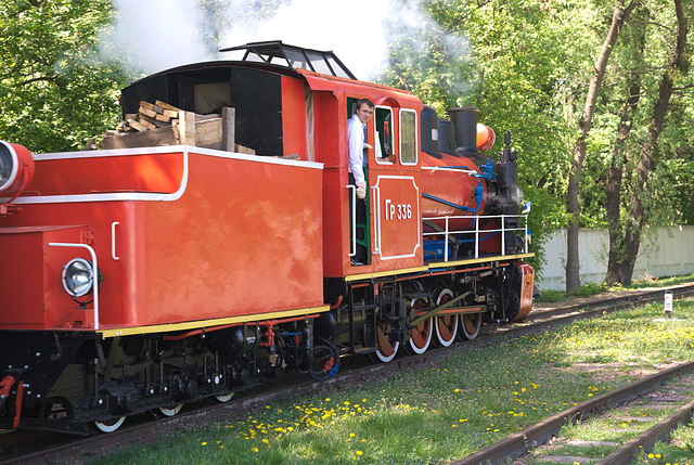 Der Zug fährt am Bahnhof Wyschenka ab