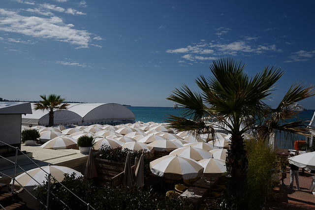 parasols (beaucoup), Croisette, festival du film