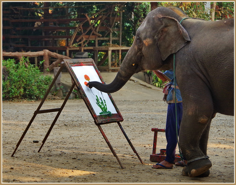 ... l'éléphant peintre...!!