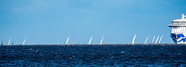 Clipper race2