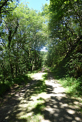 l'ancienne voie ferrée l'ancienne voie ferrée