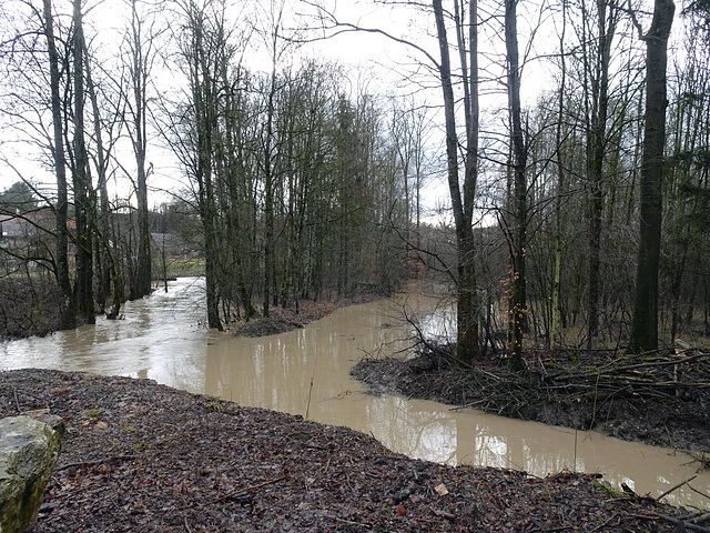 Renaturiert um das Hochwasser zu verlangsamen in den grossen Flüssen, kurz dem Wasser wieder den nötigen Raum zu geben