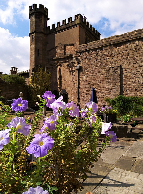 Hereford Cathedral gardens.