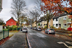 Bergmannstraße (Bochum-Hofstede) / 11.11.2023