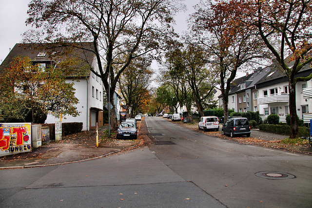 Karl-Friedrich-Straße (Bochum-Weitmar) / 2.11.2024