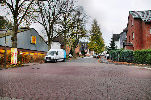 Velsenstraße (Waltrop) / 2.11.2017