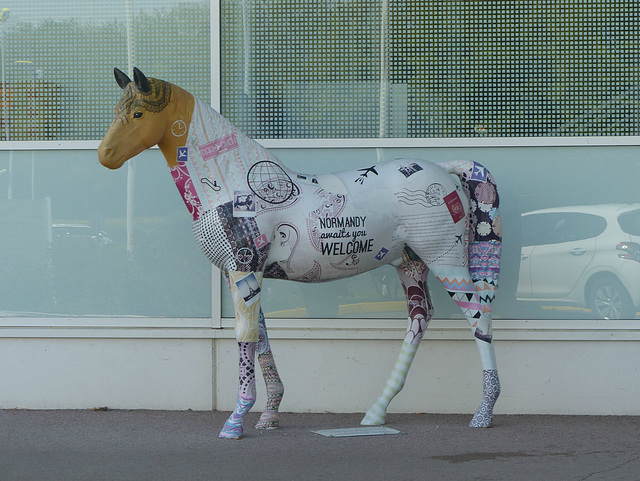 Un Cheval à l'Aéroport - 14 Mai 2018