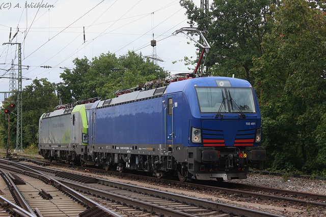 BÖ0012835 BÖ0012835
