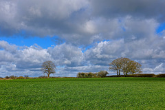 Big early spring clouds