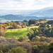 Welsh landscape28