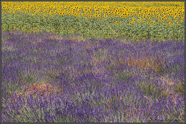 Die Farben der Provence