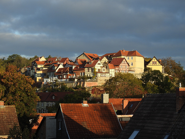 Münzenberg am Morgen