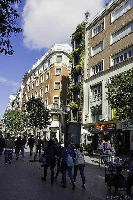 Calle de la Montera (© Buelipix)