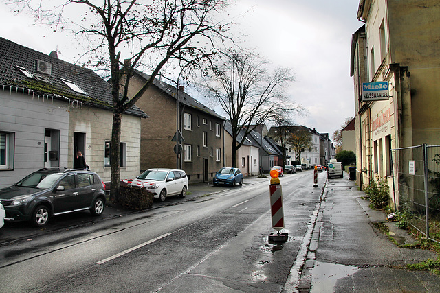 Riemker Straße (Bochum-Hofstede) / 11.11.2023