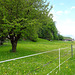 Frühling bei Saint-Maurice VS