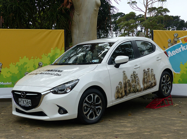 Meerkat Mazda (2) - 21 February 2015