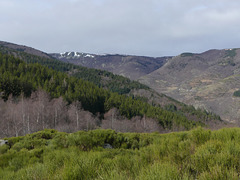 20190309 Rando solo Chalet de l'Aigle (Lozere) (95)