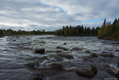 am Gubbseleforsen bei Vilhelmina (© Buelipix)