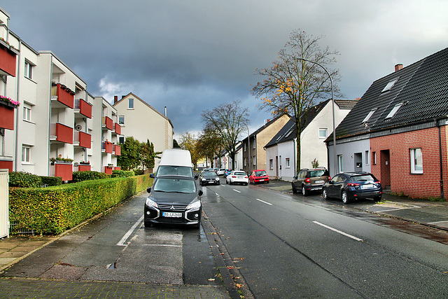 Riemker Straße (Bochum-Hofstede) / 11.11.2023