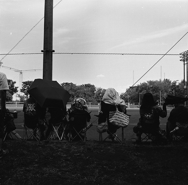 Baseball spectators