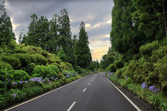 AZORES