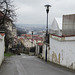 IMG 7873